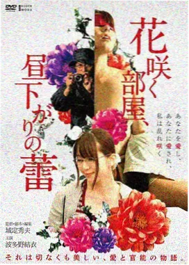 长月烬明原声带